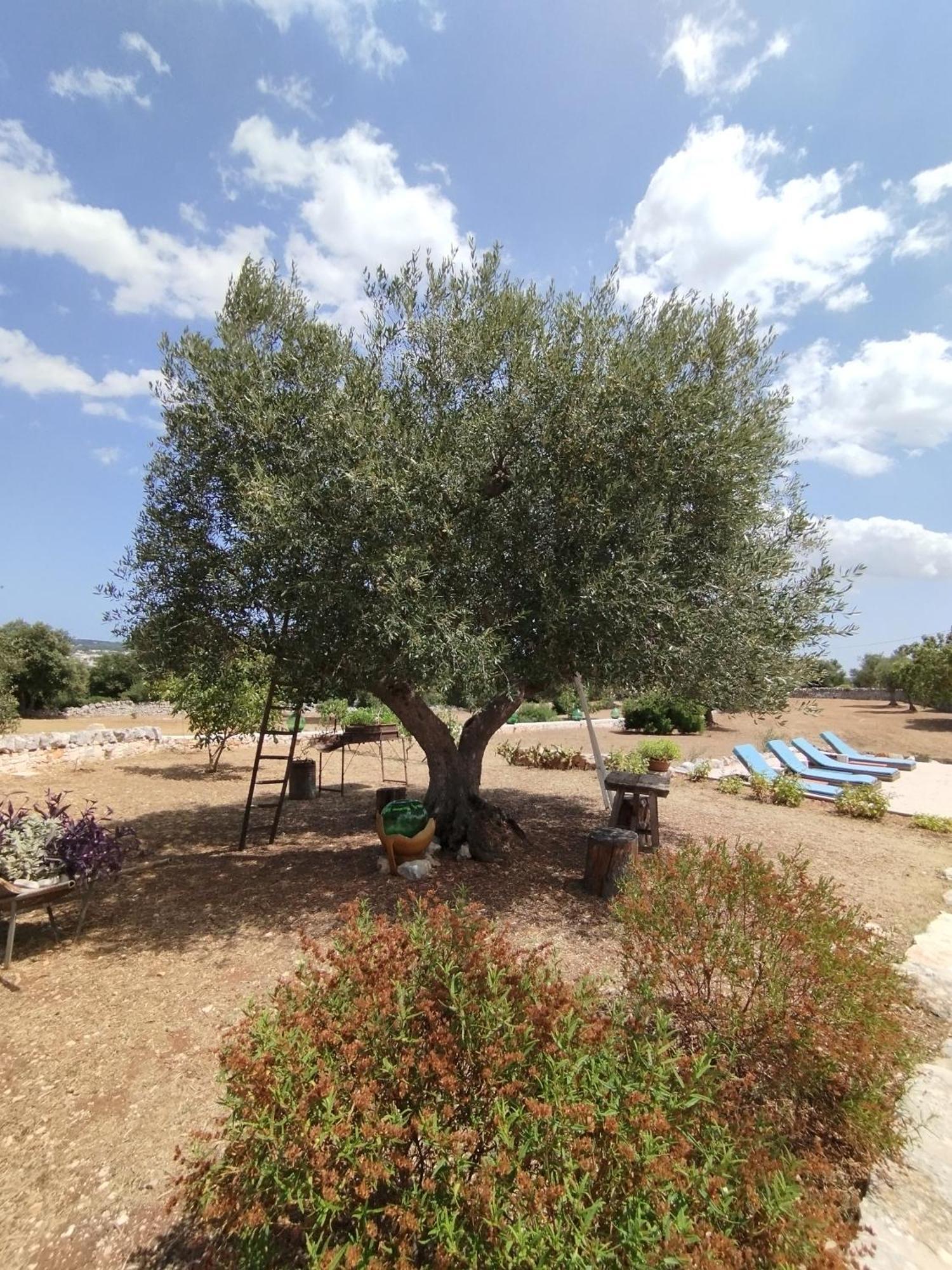 Trullo Gio Villa Cisternino Buitenkant foto